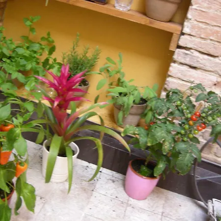 Terrazza Petroni * Bolonia